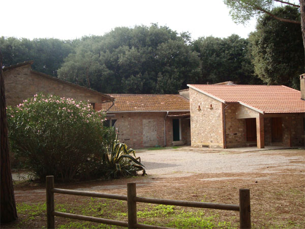 Azienda Agricola Paradiso - img 10